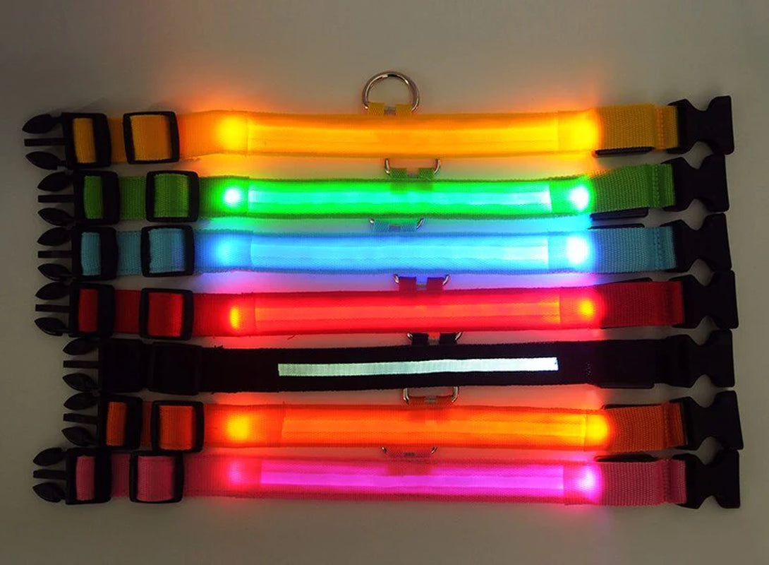 LED Light-Up Dog Collar – Waterproof, Adjustable & USB Rechargeable for Night Safety