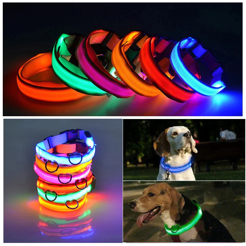 LED Light-Up Dog Collar – Waterproof, Adjustable & USB Rechargeable for Night Safety