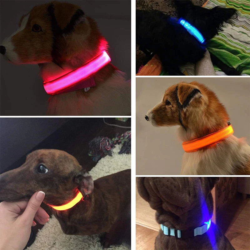 LED Light-Up Dog Collar – Waterproof, Adjustable & USB Rechargeable for Night Safety