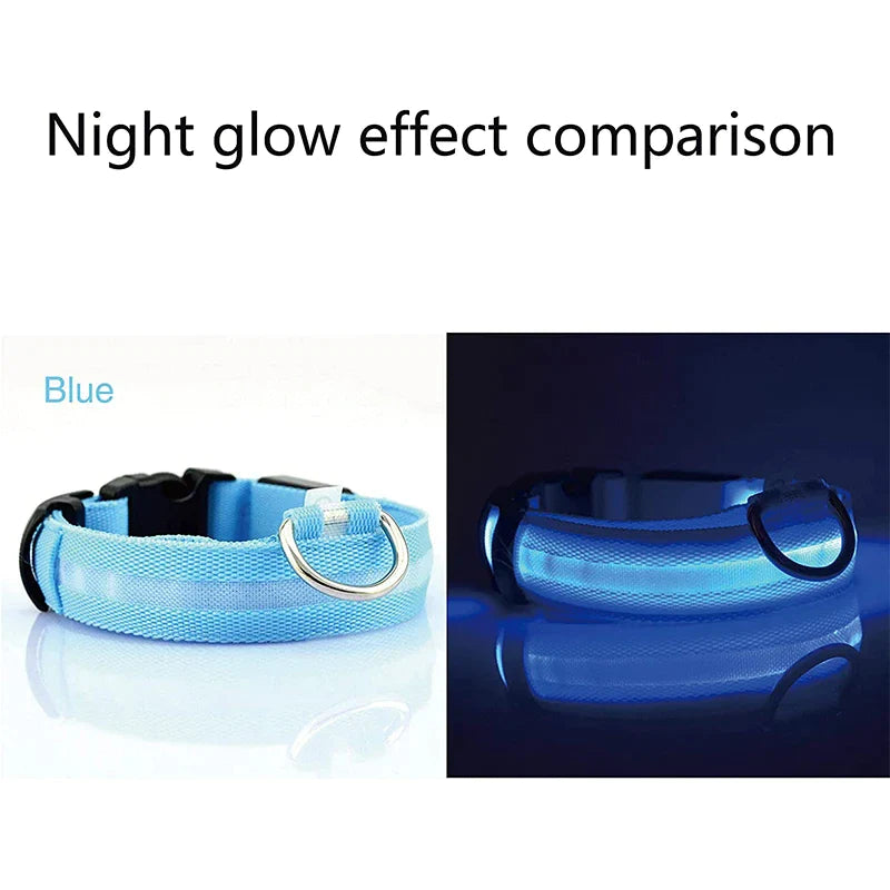 LED Light-Up Dog Collar – Waterproof, Adjustable & USB Rechargeable for Night Safety