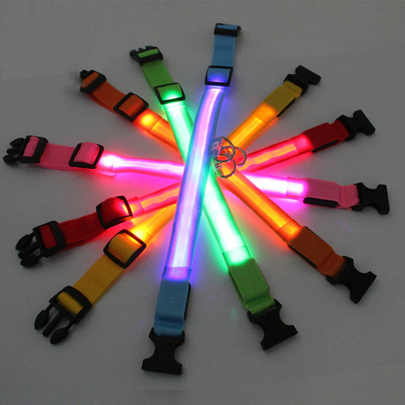 LED Light-Up Dog Collar – Waterproof, Adjustable & USB Rechargeable for Night Safety
