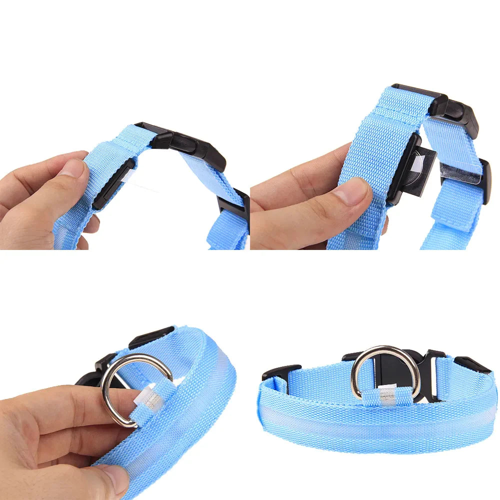 LED Light-Up Dog Collar – Waterproof, Adjustable & USB Rechargeable for Night Safety