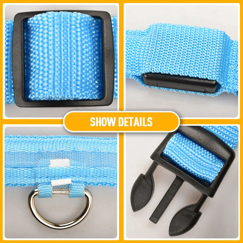 LED Light-Up Dog Collar – Waterproof, Adjustable & USB Rechargeable for Night Safety