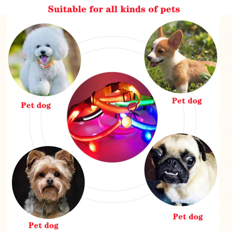 LED Light-Up Dog Collar – Waterproof, Adjustable & USB Rechargeable for Night Safety