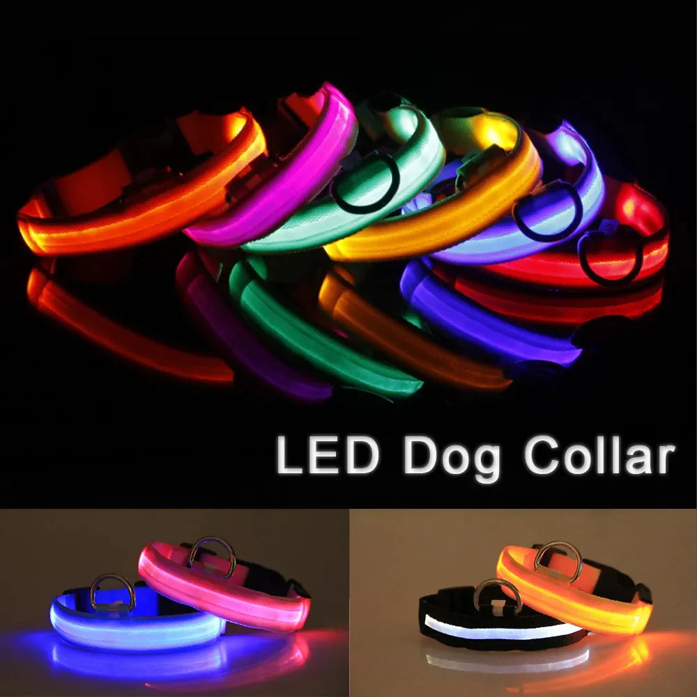 LED Light-Up Dog Collar – Waterproof, Adjustable & USB Rechargeable for Night Safety