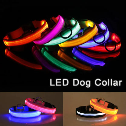 LED Light-Up Dog Collar – Waterproof, Adjustable & USB Rechargeable for Night Safety