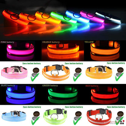 LED Light-Up Dog Collar – Waterproof, Adjustable & USB Rechargeable for Night Safety