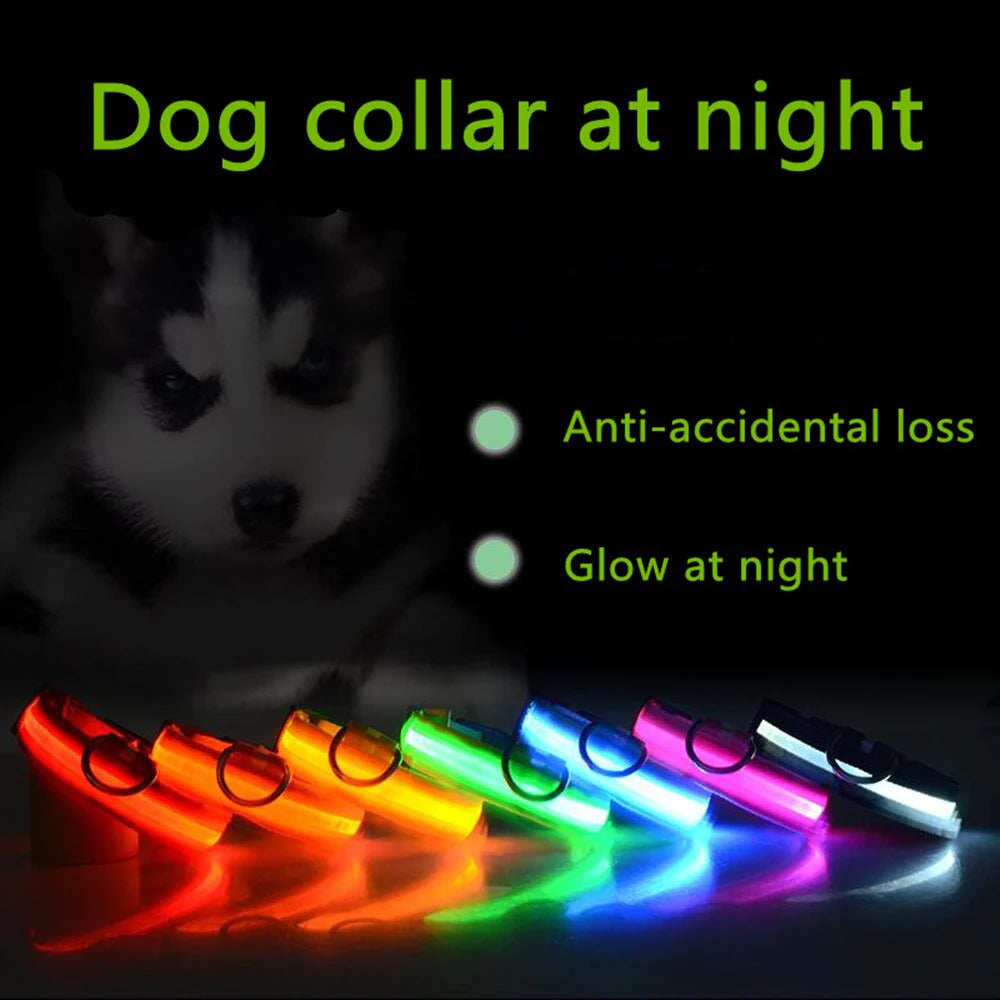 LED Light-Up Dog Collar – Waterproof, Adjustable & USB Rechargeable for Night Safety