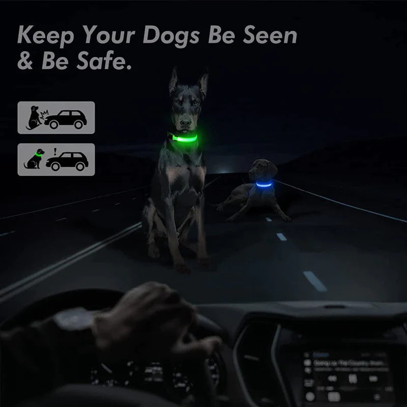 LED Light-Up Dog Collar – Waterproof, Adjustable & USB Rechargeable for Night Safety