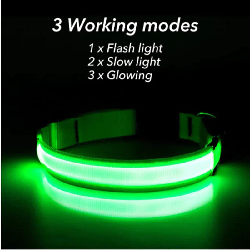 LED Light-Up Dog Collar – Waterproof, Adjustable & USB Rechargeable for Night Safety