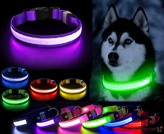 LED Light-Up Dog Collar – Waterproof, Adjustable & USB Rechargeable for Night Safety