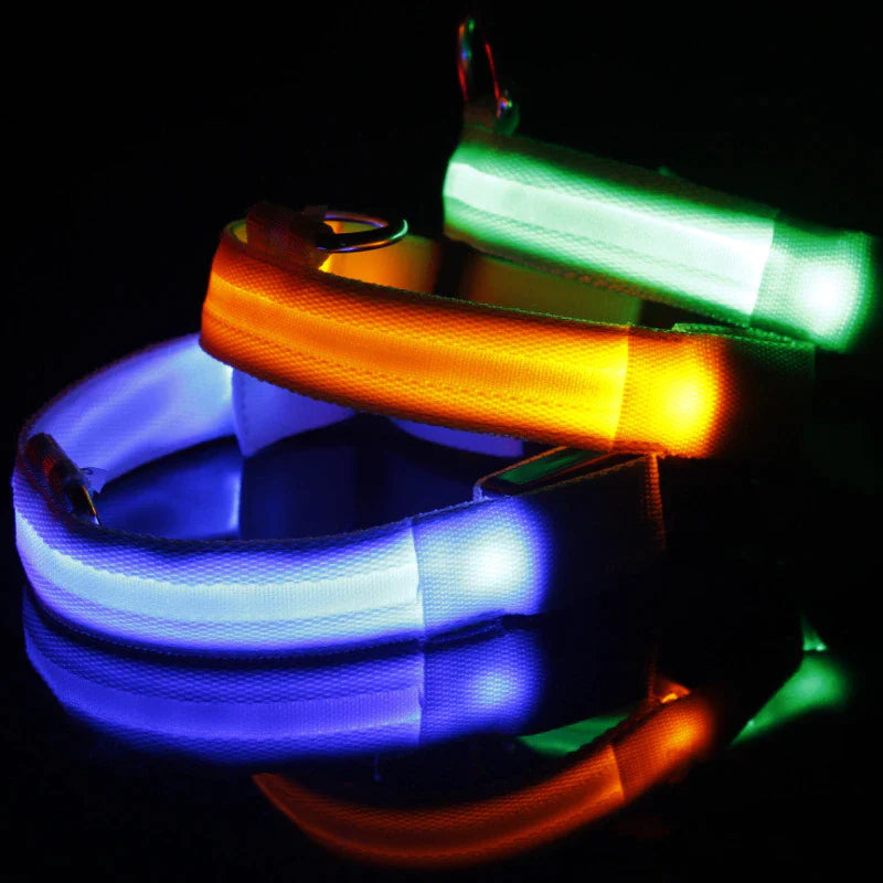 LED Light-Up Dog Collar – Waterproof, Adjustable & USB Rechargeable for Night Safety