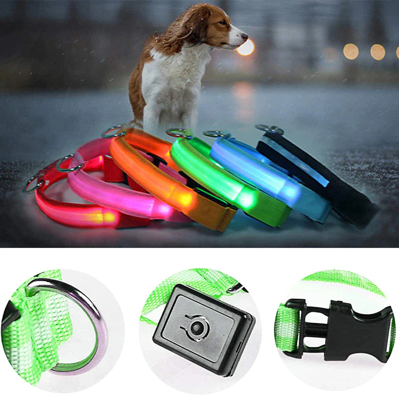 LED Light-Up Dog Collar – Waterproof, Adjustable & USB Rechargeable for Night Safety