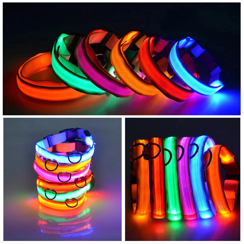 LED Light-Up Dog Collar – Waterproof, Adjustable & USB Rechargeable for Night Safety