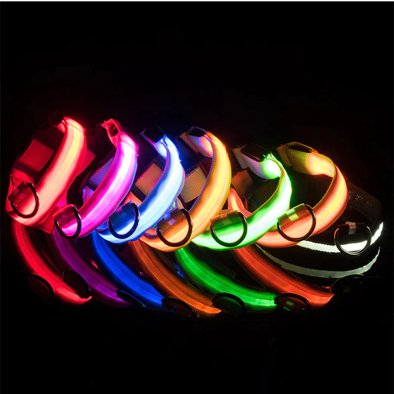 LED Light-Up Dog Collar – Waterproof, Adjustable & USB Rechargeable for Night Safety