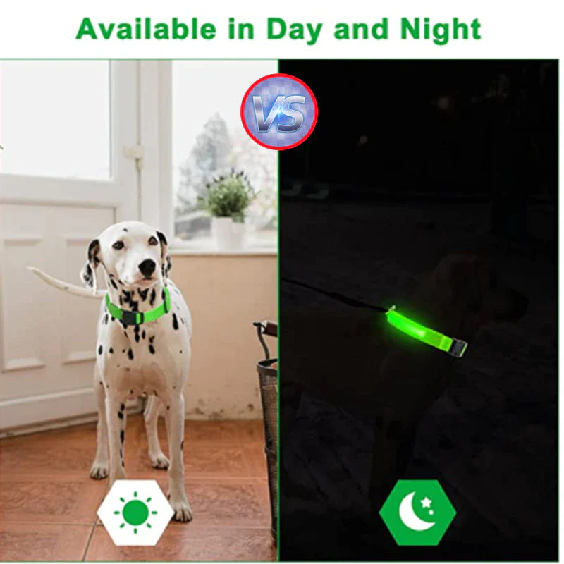 LED Light-Up Dog Collar – Waterproof, Adjustable & USB Rechargeable for Night Safety