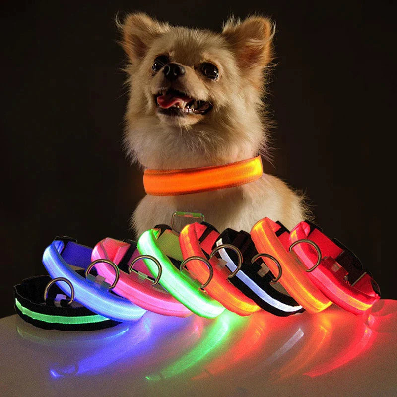 LED Light-Up Dog Collar – Waterproof, Adjustable & USB Rechargeable for Night Safety